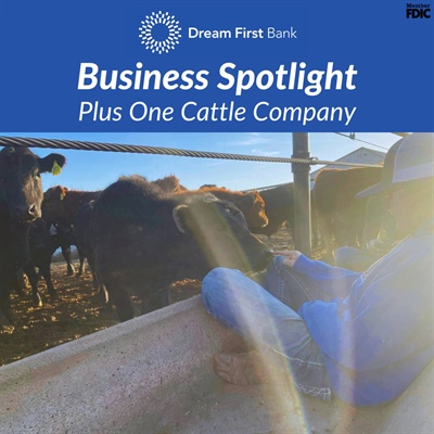 Business Spotlight: Plus One Cattle Company